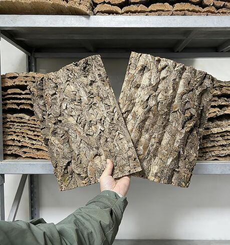 AWXZOM 2pcs Large Cork Bark Terrarium Background 15.7x11.9inch, Natural Cork bark for Reptiles Background Climbing Wall for Chameleons Lizards Turtle Beared Dragon Snake Reptile Tank Background in Kuwait