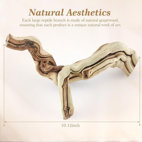 Janinka 10-12" Length Large Wood Reptile Branch for Bearded Dragon Driftwood Reptile Climbing Habitat Decoration for Terrarium Tree Trunk Ornament Gecko Frog Chameleon Spider in Kuwait