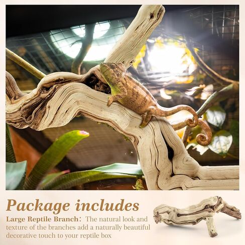 Janinka 10-12" Length Large Wood Reptile Branch for Bearded Dragon Driftwood Reptile Climbing Habitat Decoration for Terrarium Tree Trunk Ornament Gecko Frog Chameleon Spider in Kuwait