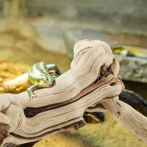 Janinka 10-12" Length Large Wood Reptile Branch for Bearded Dragon Driftwood Reptile Climbing Habitat Decoration for Terrarium Tree Trunk Ornament Gecko Frog Chameleon Spider in Kuwait