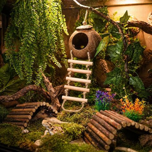 HERCOCCI Crested Gecko Tank Accessories, Reptile Hanging Plants Vines with Natural Coconut Shell Hideout & Climbing Ladder Decor for Hermit Crab Lizard Leopard Gecko Chameleon Snake Terrarium Decor in Kuwait