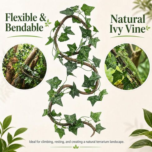 HERCOCCI Crested Gecko Tank Accessories, Reptile Hanging Plants Vines with Natural Coconut Shell Hideout & Climbing Ladder Decor for Hermit Crab Lizard Leopard Gecko Chameleon Snake Terrarium Decor in Kuwait