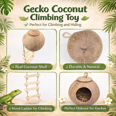 HERCOCCI Crested Gecko Tank Accessories, Reptile Hanging Plants Vines with Natural Coconut Shell Hideout & Climbing Ladder Decor for Hermit Crab Lizard Leopard Gecko Chameleon Snake Terrarium Decor in Kuwait
