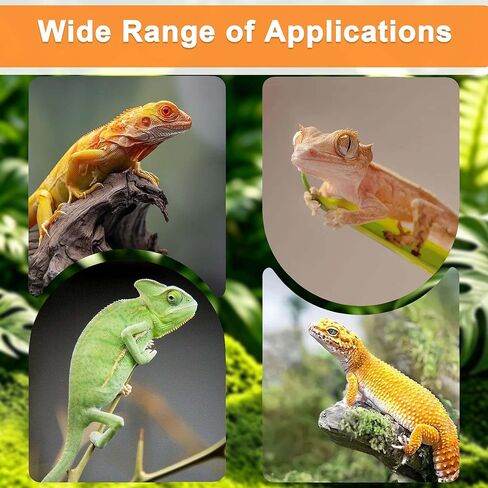 PurifyLogix 3 in 1 Reptile Water Fountain with Food Dish & Hideout, 550ML Reptile Waterfall Drinking Fountain, Reptile Water Dispenser for Bearded Dragon, Gecko, Lizard, Chameleon, Natural Resin in Kuwait