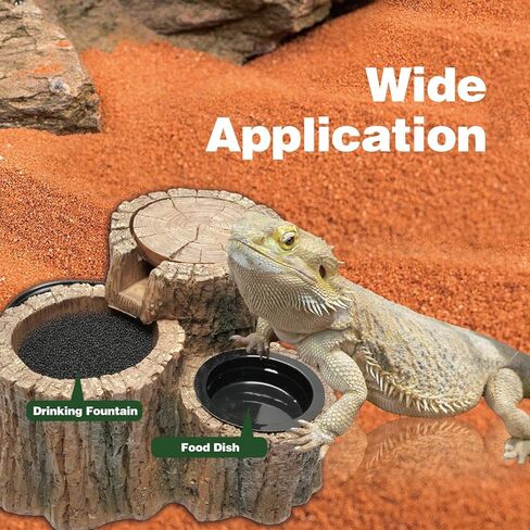 Reptile Water Fountain with Food Dish Terrarium Drinking Fountain for Bearded Dragon, Gecko, Chameleon, Lizard, Tree Frog & Turtle Keeps Water Clear, Easy to Use Water Dispenser in Kuwait