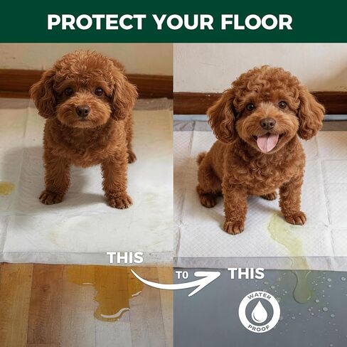 FXW Ultra Waterproof Pet Floor Protector Mat & Under Dog Crate Mat, Resistant & Easy to Clean, for FXW Rollick/Homeplus, 47''L x 47''W in Kuwait