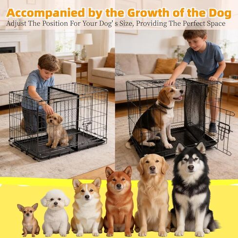 Dog Crate Divider Panel for 36 Inch Crate, Durable Thick Puppy Kennel Divider with Ties, Adjustable Training Accessory (Divider Only) (24" H x 22.5" W) in Kuwait