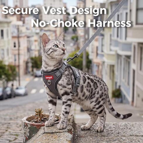 Cat Harness and Leash Kitten Harness Escape Proof Lightweight Breathable Mesh Cat Leash for Walking Travel, Grey, X-Large in Kuwait