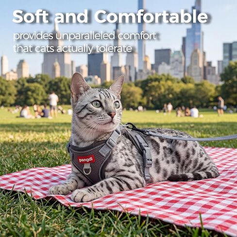 Cat Harness and Leash Kitten Harness Escape Proof Lightweight Breathable Mesh Cat Leash for Walking Travel, Grey, X-Large in Kuwait