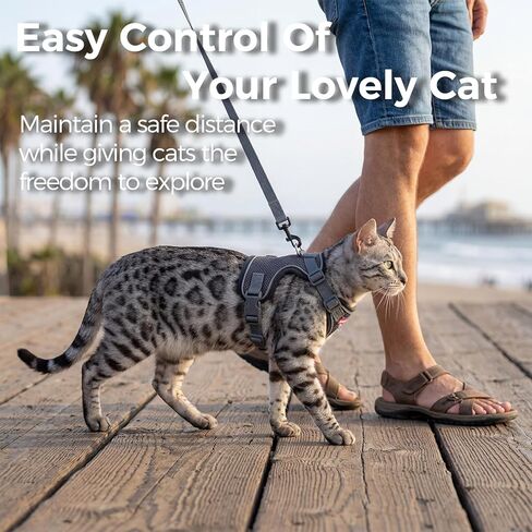 Cat Harness and Leash Kitten Harness Escape Proof Lightweight Breathable Mesh Cat Leash for Walking Travel, Grey, X-Large in Kuwait