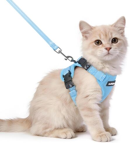 rabbitgoo Cat Harness and Leash, Escape Proof Vest with 3 Adjustable Buckles, Soft Comfortable Kitten Harness, Easy to Wear, Reflective for Safe Outdoor Walking, Small, Black in Saudi Arabia