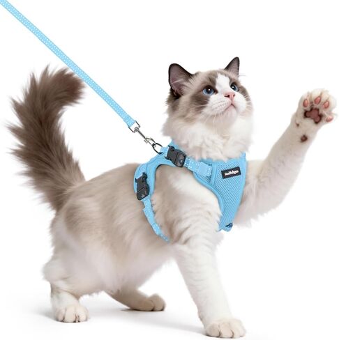 rabbitgoo Cat Harness and Leash, Escape Proof Vest with 3 Adjustable Buckles, Soft Comfortable Kitten Harness, Easy to Wear, Reflective for Safe Outdoor Walking, Small, Black in Saudi Arabia