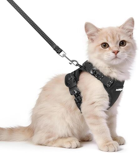 rabbitgoo Cat Harness and Leash, Escape Proof Vest with 3 Adjustable Buckles, Soft Comfortable Kitten Harness, Easy to Wear, Reflective for Safe Outdoor Walking, Small, Black in Saudi Arabia