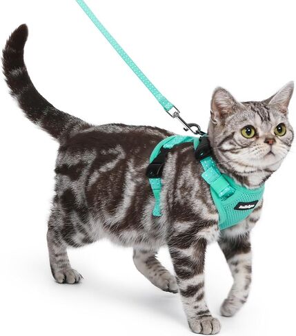 rabbitgoo Cat Harness and Leash, Escape Proof Vest with 3 Adjustable Buckles, Soft Comfortable Kitten Harness, Easy to Wear, Reflective for Safe Outdoor Walking, Small, Black in Saudi Arabia