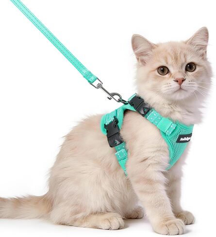 rabbitgoo Cat Harness and Leash, Escape Proof Vest with 3 Adjustable Buckles, Soft Comfortable Kitten Harness, Easy to Wear, Reflective for Safe Outdoor Walking, Small, Black in Saudi Arabia