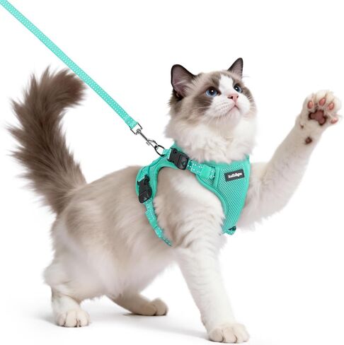 rabbitgoo Cat Harness and Leash, Escape Proof Vest with 3 Adjustable Buckles, Soft Comfortable Kitten Harness, Easy to Wear, Reflective for Safe Outdoor Walking, Small, Black in Saudi Arabia