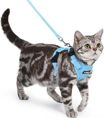 rabbitgoo Cat Harness and Leash, Escape Proof Vest with 3 Adjustable Buckles, Soft Comfortable Kitten Harness, Easy to Wear, Reflective for Safe Outdoor Walking, Small, Black in Saudi Arabia