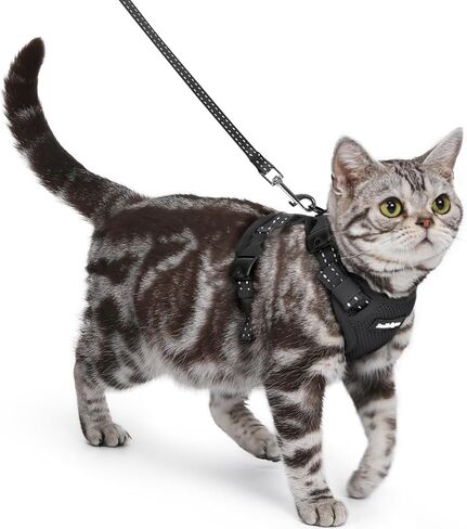 rabbitgoo Cat Harness and Leash, Escape Proof Vest with 3 Adjustable Buckles, Soft Comfortable Kitten Harness, Easy to Wear, Reflective for Safe Outdoor Walking, Small, Black in Saudi Arabia