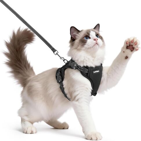 rabbitgoo Cat Harness and Leash, Escape Proof Vest with 3 Adjustable Buckles, Soft Comfortable Kitten Harness, Easy to Wear, Reflective for Safe Outdoor Walking, Small, Black in Saudi Arabia