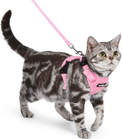 rabbitgoo Cat Harness and Leash, Escape Proof Vest with 3 Adjustable Buckles, Soft Comfortable Kitten Harness, Easy to Wear, Reflective for Safe Outdoor Walking, Small, Black in Saudi Arabia