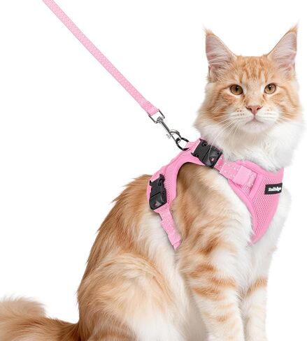 rabbitgoo Cat Harness and Leash, Escape Proof Vest with 3 Adjustable Buckles, Soft Comfortable Kitten Harness, Easy to Wear, Reflective for Safe Outdoor Walking, Small, Black in Saudi Arabia