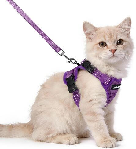 rabbitgoo Cat Harness and Leash, Escape Proof Vest with 3 Adjustable Buckles, Soft Comfortable Kitten Harness, Easy to Wear, Reflective for Safe Outdoor Walking, Small, Black in Saudi Arabia