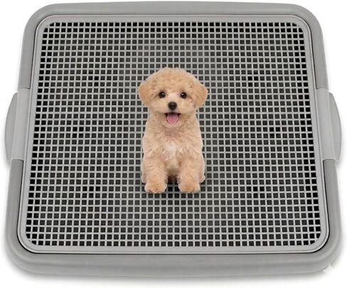 UPIT Puppy Potty Tray with Mesh – Dog Pee Pad Holder for Small Dogs & Puppies, Indoor Dog Potty Training Toilet, Plastic Leak-Proof Dog Potty Tray (Small - 20 x 16 in) in Kuwait