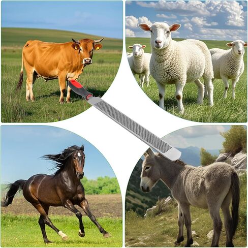 13 Inches Hoof Rasp,Farrier Rasp,Farrier Tools,Professional Carbon Steel Farrier File Tool with Rubber Handle,Heavy Duty Trimming Tool for Horses,Cattle,Goats,and Donkeys in Kuwait