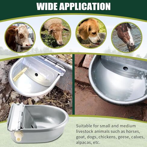 Automatic Animal Drinking Water Bowl, 304 Stainless Steel Livestock Waterer with Float Valves, 39" Pipe Hose, 1/2" to 3/4" Adapter, Water Trough for Dog, Horse, Goat, Pig, Cow in Kuwait