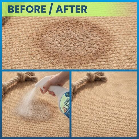 Stain & Odor Eliminator for Strong Odor, 32oz Enzyme Pet Odor Eliminator for Home, Carpet Stain Remover for Cats & Dog Pee, Enzymatic Cat Urine Destroyer, Carpet Cleaner Spray in Kuwait