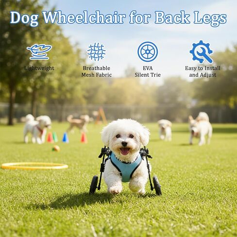 Dog Wheelchair for Back Legs - Adjustable Small Dog Wheelchair with 1.5mm Thickened Frame, Mobility Aid Support Cart for Disabled Hind Legs Rehab, Walking Wheels for Small Dogs in Kuwait