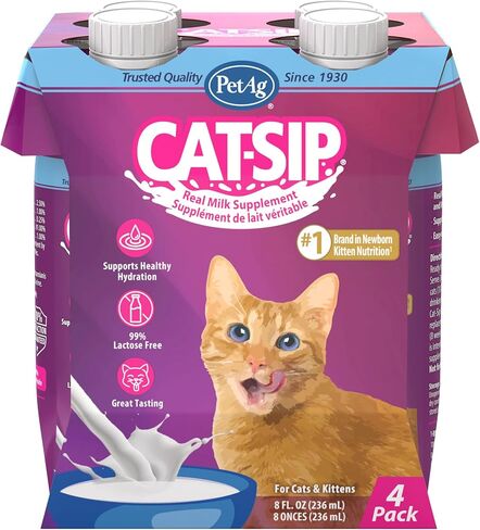PetAg Cat-Sip Real Milk - 8 أوقية، 8 عبوات - وجبة خفيفة جاهزة للتغذية للقطط والقطط الصغيرة - سهلة الهضم مع 99٪ خالية من اللاكتوز، حليب قليل الدسم من الدرجة الأولى - يشجع الترطيب in Kuwait