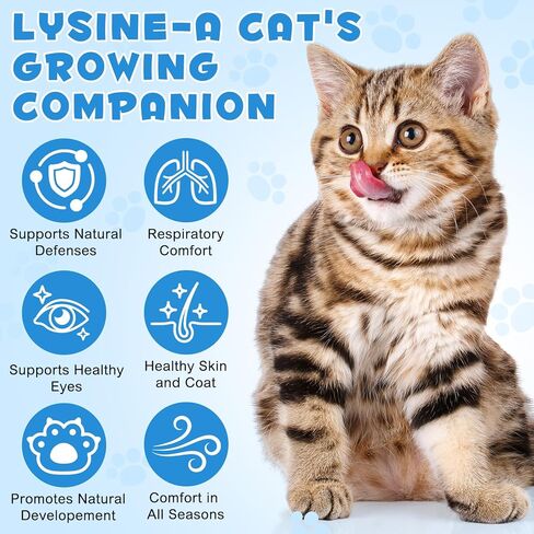 مكمل سائل NIFEISHI L-Lysine للقطط - لصحة الجهاز التنفسي والعطس وسيلان الأنف والعناية بالعين - للقطط من جميع الأعمار، قطرات سائلة سهلة الاستخدام، 60 مل/2 أونصة in Kuwait
