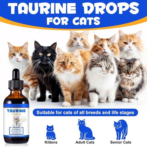 Taurine Drops for Cats – Liquid Taurine Supplement for Eyesight, Heart, Muscle & Immune Support, Promotes Digestion & Absorption, Essential Amino Acid for Daily Vitality & Wellness – All Life Stages in Kuwait