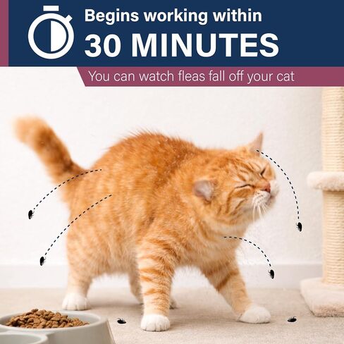 (Nitenpyram) Oral Cat Flea Treatment, Fast-Acting Flea Treatment for Cats Weighing 2-25 lbs, Begins Working Within 30 Minutes, Chicken Flavor, 12 Doses in Kuwait