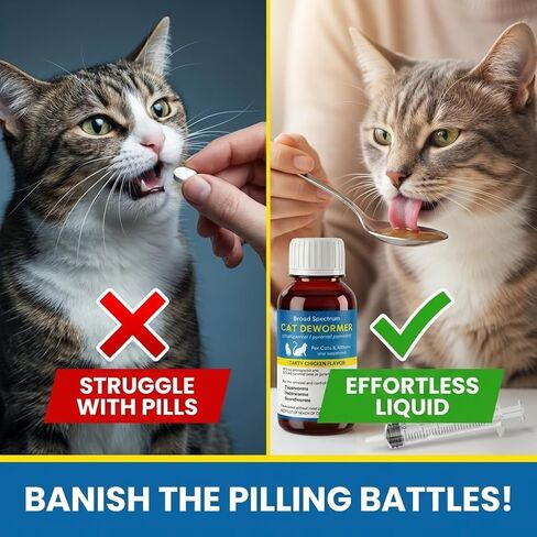 Liquid Dewormer for Cat and Kittens, Praziquantel and Pyrantel Pamoate Oral Suspension, Broad Spectrum Removes Roundworm, Hookworm, Tapeworm, Includes 3ml Dosing Syringe (100ml) in Kuwait