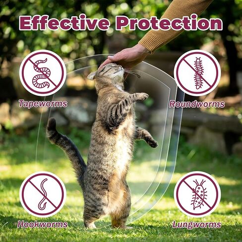 Liquid Dewormer for Cats & Kittens, Fenbendazole Cat Dewormer for Tapeworms, Roundworms, Hookworms & Lungworms, Chicken & Honey Flavor Oral Wormer, Easy Daily Dose, 150 mL in Kuwait