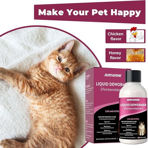 Liquid Dewormer for Cats & Kittens, Fenbendazole Cat Dewormer for Tapeworms, Roundworms, Hookworms & Lungworms, Chicken & Honey Flavor Oral Wormer, Easy Daily Dose, 150 mL in Kuwait