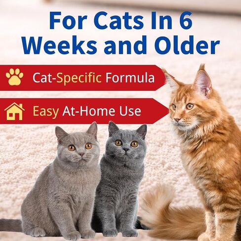 Dewormer for Cats 6 Weeks and Older, 22.2% (222 mg/g) Tablets, Fenbendazole, Cat-Specific Formula, Easy at-Home Use in Kuwait