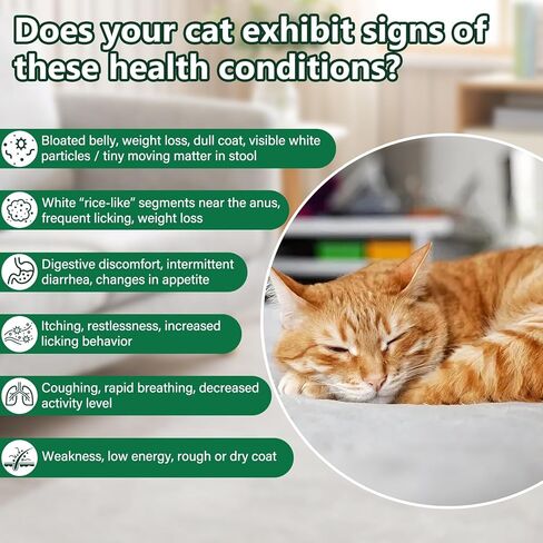 DEWORMER for Cats – Broad Spectrum Digestive Cleanser, Supports Removal of Hookworms, Lungworms, Pinworms & Roundworms, Tapeworms, Whipworms, Internal Balance Support in Kuwait