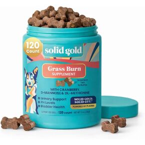 Solid Gold Dog Pee Grass Repair Chews - Dog Urine Neutralizer for Lawn w/Urinary Tract, Kidney, Bladder & pH Support to Reduce Grass Pee Spots & Burn - Pet Urine Neutralizer Treats - Bacon - 120ct in Kuwait