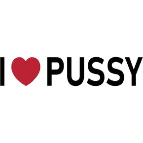 I Love Pussy Sticker 2x6 Heart Funny Hot Joke Stickers in Kuwait