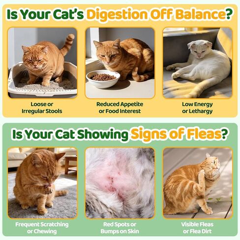 Flea and Tick Prevention for Cats, 500 Cat Flea Treatment with Probiotics Chewables, Crunchy & Creamy Treats Natural Oral Flea Supplement with Skin & Coat, Digestive Support - Chicken, Krill Flavor in Kuwait