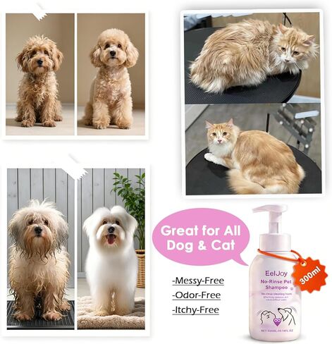 Non-Rinse Pet Shampoo – 10 Fl. oz Dog & Cat Dry Shampoo and Conditioner Itchy Skin Relief - Coconut Oil No Rinse Pet Shampoo for Cat & Dog Grooming & Spot Cleaning, Quick Clean Between Baths in Kuwait