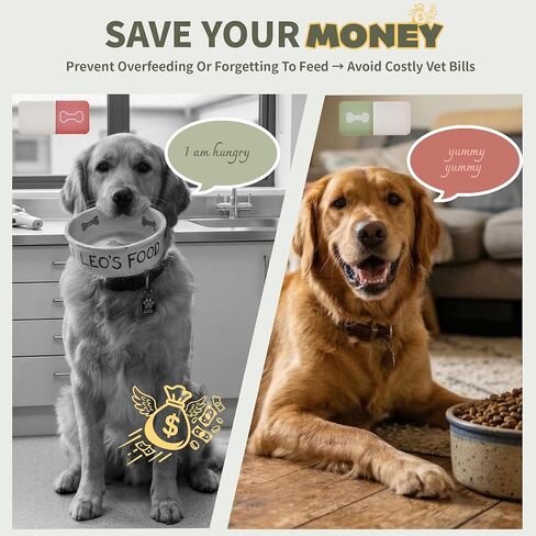 Puppy Feeding Schedule Chart, Dog Fed Sign Magnetic/Adhesive 2in1 Reminder Sticker, Daily Am/Pm Chart Acrylic Slider Sign for Pet Fed and Pill Reminder, Customized Reminder Area with DIY Stickers in Kuwait