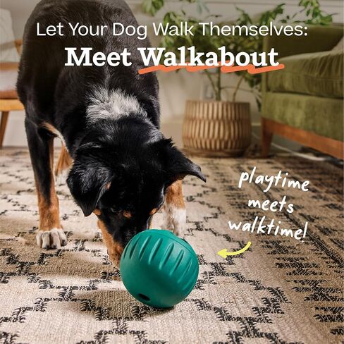 WOOF Walkabout - Enrichment Dog Toys Puzzle and Treat Dispenser - Adjustable Difficulty for Kibble and Treats - Durable Rubber - Easy to Clean - Small in Saudi Arabia