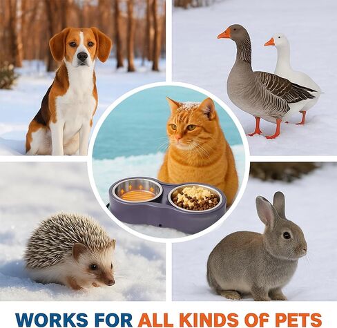 Pet Heated Bowl for Cat Dog, Freeze-Proof Warming Animal Food Feeder with Anti-Chew Cord,Waterproof & Thermostat Heating Bowls Removeable, (2 x 23 fl oz, Purple) in Kuwait