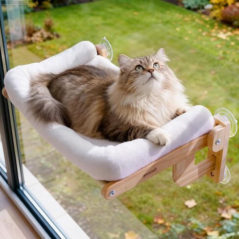 Pecute Foldable Cat Window Perch, Cloud-Soft Cat Bed with Solid Wood Frame, Strong Suction Cup, Washable Cushion, Stable Large Cats Hammock with Sided Bolster, Cats Perch Indoor for Sunbathing, 26" W in Kuwait