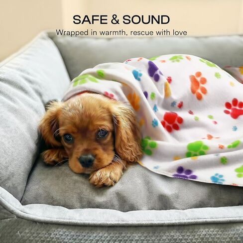 LINENLUX Cute Dog Blanket for Small Medium Dogs 6-Pack Soft Stretchy Fleece Blankets for Pet Cat Puppy Warm Wrinkle-Resistant Throw for Couch Bed Outdoor Mix 31x24 inch (Pack of 6) in Saudi Arabia
