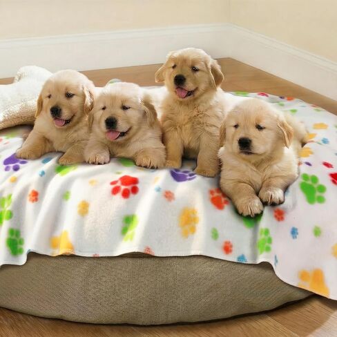 LINENLUX Cute Dog Blanket for Small Medium Dogs 6-Pack Soft Stretchy Fleece Blankets for Pet Cat Puppy Warm Wrinkle-Resistant Throw for Couch Bed Outdoor Mix 31x24 inch (Pack of 6) in Saudi Arabia
